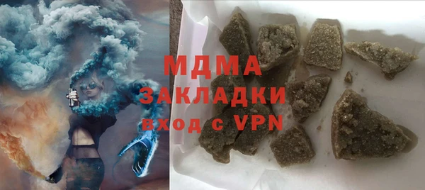 индика Гусев