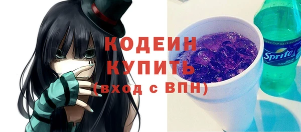 индика Гусев