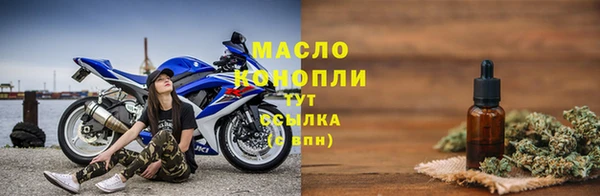 индика Гусев
