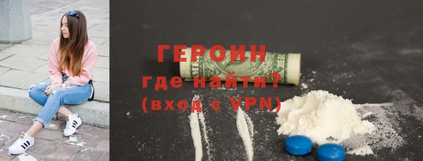 индика Гусев