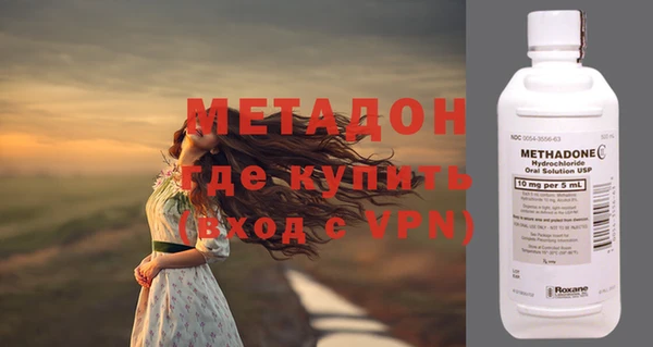 индика Гусев