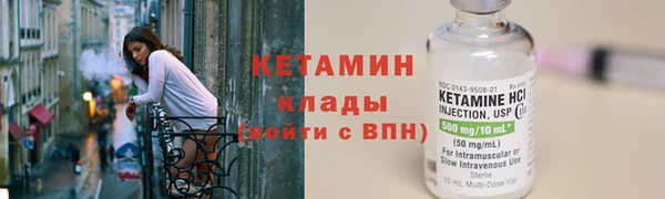 индика Гусев