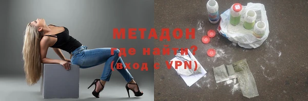 индика Гусев
