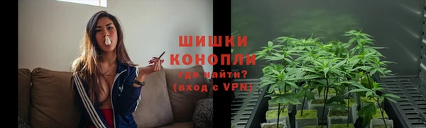 крисы Гусиноозёрск