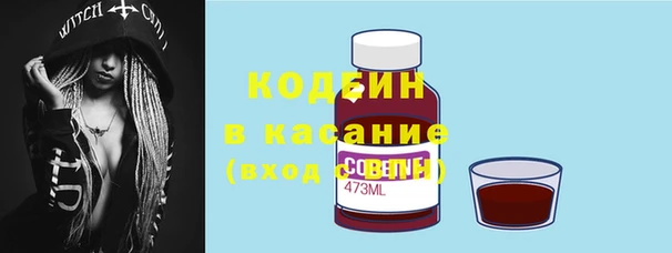 крисы Гусиноозёрск