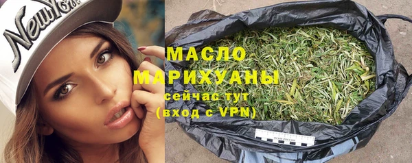индика Гусев