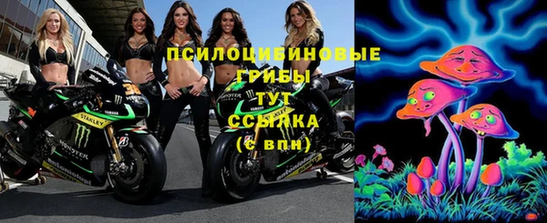 индика Гусев
