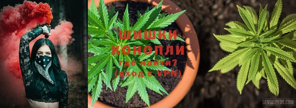 крисы Гусиноозёрск