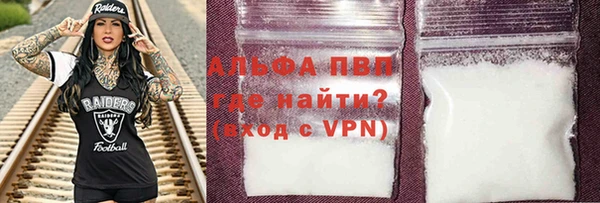индика Гусев