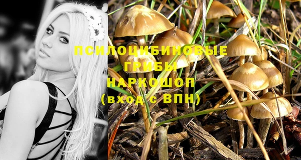 крисы Гусиноозёрск