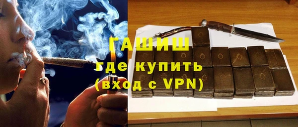 индика Гусев