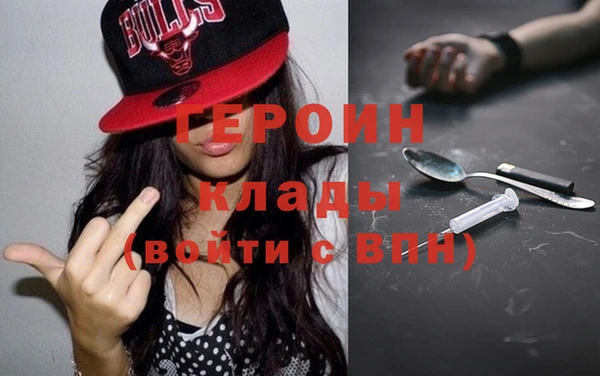 индика Гусев