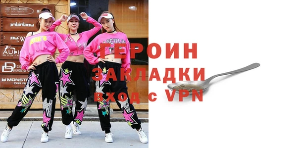 индика Гусев