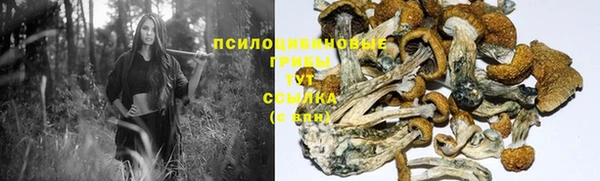 мефедрон мука Гусь-Хрустальный
